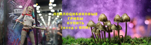 а пвп мука Армянск