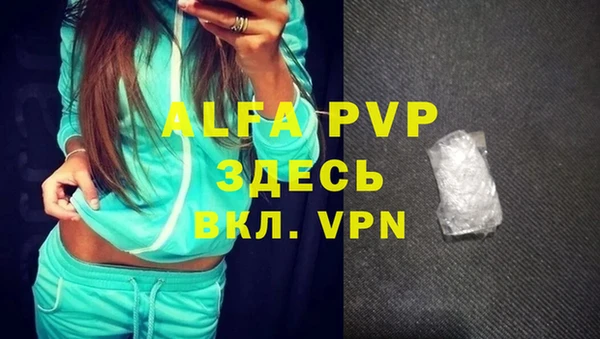 гашик Арсеньев