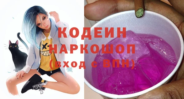 гашик Арсеньев