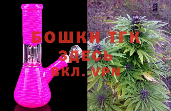 гашик Арсеньев